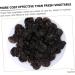 Garneck 60 Pcs Artificial Vegetable for Party Kid Toys Props Plastic Playes Artificial Pepper Fake Vegetable Cornucopia Decor Ornament Vegetable Toys Fruit Child Soft Pvc Pretend - Buy Online on GoSupps.com