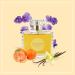 Perle Royale - 3.4 Oz Eau De Parfum - Fragrance Mist For Women - Floral Oriental Scent - Perfume Spray With Orange Blossom Jasmine Iris Praline Vanilla Musk Accords - Buy Online on GoSupps.com
