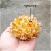 Natural Crystal Rough Raw Citrine Natural Quartz Stone Crystal Cluster Yellow Specimen Home Decoration Decoration (Color : A Yellow Size : 200-300g) 200-300g A Yellow - Buy Online on GoSupps.com