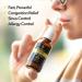BEE and You Natural Propolis Nasal Spray 1 Fl oz | Drug-Free Congestion Relief | Alcohol-Free Medical Grade Propolis | Sinus & Allergy Relief - Buy Online on GoSupps.com
