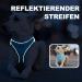 Haapaw Adjustable No Pull Dog Harness & Leash Set - Reflective Step-In Vest for Small to Medium Dogs | Turquoise XL (Breast 50.8-59.6 cm Weight 8.2-12.7 kg) - Buy Online on GoSupps.com
