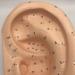 Ear Acupuncture Template Template - Human Giant Ear Acupuncture Template - Chinese Medicine Ear Pattern - Buy Online on GoSupps.com