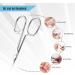 Nail Scissors Cuticle Scissors 1 Piece Stainless Steel Nail Scissors Fingernail Scissors with Curved Tip Curved Nail Scissors Suitable for Nails L 9.6 cm - Buy Online on GoSupps.com