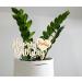 Alsino Personalized Cake Topper - Eco-Friendly Wooden Decor for Weddings Birthdays Baptisms & More - Engraved Heart Design - Buy Online on GoSupps.com