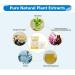 KONGDY Cough Patches Relieves Discomfort Caused by Coughing Honey Sticker for Adult Child (6) - Buy Online on GoSupps.com