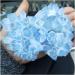 Blue Ghost Phantom Quartz Crystal Cluster Specimen Decoration Gift FZUGEDRLI - Buy Online on GoSupps.com