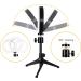Desk Ring Light for Zoom Meetings - Video Conference and Recording Lighting Kit with Tripod Stand - Perfect for Remote Work, Gaming, and Vlogging - Buy Online on GoSupps.com