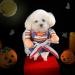Delifur Halloween Costumes for Dogs & Cats | Scary Animal Costumes | Large & Small Sizes Available - Buy Online on GoSupps.com