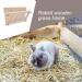 Wood Rabbit Hay Feeder Less Wasted Wooden Food Feeding Rack Biting Resistant Pet Wooden Hay Manger for Rabbit Guinea Pig Chinchilla Hamster - Buy Online on GoSupps.com