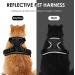 Adjustable Soft Kitten Vest with Reflective Stripes & Breakproof Cat Dishes Set - XXS Black Harness for Small Kittens - Buy Online on GoSupps.com