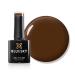 Bluesky Gel Nail Polish 10ml Voice of Earth - AW2314 Brown Soak-Off Gel Polish for 21 Day Manicure Professional Salon& Home Use Requires Curing Under UV/LED Lamp
