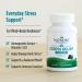 Nordic Naturals Stress Relief Gummies, Mixed Berry, 40 Gummy Supplements, Supports Daily Mood and Immune System Health, Non-GMO, Vegetarian, 20 Servings 40 Count (Pack of 1) - Buy Online on GoSupps.com