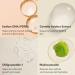 SKINBUILDERS Microneedle Pimple Patch for Hormonal Acne and Blemishes - Korean Skin Care - Buy Online on GoSupps.com