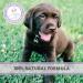Pets Purest Life Drops for Puppies 10ml - Natural Puppy Gut Health & Energy Booster for Organ Development & Digestive Support - Buy Online on GoSupps.com