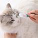 3pcs Cat Eye Cleaning Brush Portable Grooming Comb Household Cat Eye Brush Kit Tear Stain Removal Eye Care Dog Eye Comb Convenient Grooming Accessory Pets 10X1cmx3pcs Pink Greenx3pcs - Buy Online on GoSupps.com