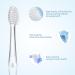KOPBTBOY Children's Replacement Brush Heads for Seago SG513/SG977/SGEK6 for Brush-Baby WildOnes/KIDZSONIC/Dada-Tech DT-BB1/DT-977/DT-K6 Over 3 Years - Buy Online on GoSupps.com