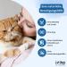 Itiko Urinary Cat Food - Wet Dietary Supplements for Urinary Tract Health & Low pH | Cranberries Rosemary & Sodium Chloride - Buy Online on GoSupps.com