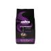Buy Lavazza Caff Crema Dolce & Espresso Italiano Cremoso Bundle - 1kg Arabica Robusta Coffee Beans with Spices & Cocoa Aroma - International Shipping Available - Buy Online on GoSupps.com