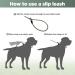 Loutep Slip Lead for Large & Medium Dogs- 1.8m Green Rope with Reflective Stitching - Buy Online on GoSupps.com