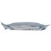 Gourmet Pearl Salmon/Cod 85 - Premium Quality Seafood for International Shipping - Buy Online on GoSupps.com
