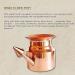 A2Shine Jal Neti Pot Copper Plain (250ml) - Buy Online on GoSupps.com