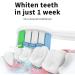 Philips Sonicare Toothbrush Replacement Heads - 10 Pack Compatible Electric Brush Heads for Ultimate Clean - Buy Online on GoSupps.com