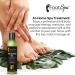 Foot SPA - Massage Oil with Tea Tree Pepper Mint Eucalyptus Oil 8 Oz - Professional Full Body Massage Therapy Manicure Pedicure - Relax Sore Muscles and Repair Dry Skin - Buy Online on GoSupps.com