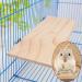 Buy Durable Wood Platform for Pets | 13x28 cm Squirrel & Hamster Stand | Ideal Parrot Cage Wooden Stand - Buy Online on GoSupps.com