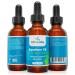 Organic Plant-Based Squalane Oil with Advanced Vitamin C - USDA Certified - 1 oz - Buy Online on GoSupps.com