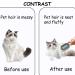 Buy Multifunctional Cat Brush with Water - Perfect for Short Hair & Massage | Blue Pet Hair Removal Comb - Buy Online on GoSupps.com