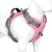 Phoepet no pull dog harness reflective dog vest with a soft training handle for small medium -sized and large dogs (baby baby base and gray beams s) BabyRosa base and gray carriers S