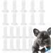 Shenrongtong K tzchnippel: 20-Piece Pet Still Nipple Feed Set for Kittens Puppies & Lizards - Transparent Bottle Nipple for Easy Feeding - Buy Online on GoSupps.com