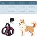 Ankilo Upgraded Harness with Leash Set Escape Proof Dog Vest Harnesses Vest Harnesses with Soft Mesh and Reflective Bands No Pull Small Dog Harness for Cats and Small Dogs (Rose-red S) - Buy Online on GoSupps.com
