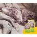 Josera Sensicat Cat Food 2kg | Super Premium Dry Food for Sensitive Cats | Easily Digestible Poultry Recipe - Buy Online on GoSupps.com