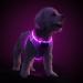 PCEOTLLAR Dog harness shining light dish LED charging & reflective illuminated light dishes for puppy small middle dog breathable light dish dishes purple-m m purple