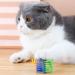 Xzhixiao 20-Part Cat Spring Toy Set | Colorful Coil & Feather Toys for Cats | Novelty Pet Companions | International Shipping - Buy Online on GoSupps.com