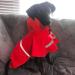 ocsoso Pet Rainy Days Slicker Brush Red Reflective Raincoat - XXL for Dogs | Waterproof & Stylish Pet Gear - Buy Online on GoSupps.com