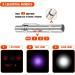 USB Rechargeable Red Laser Pointer Cat Toy for Interactive Indoor Play - Buy Online on GoSupps.com