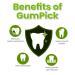 Premium Gum Stimulator with Rubber Tip Refills - Aluminum Teeth Massager for Plaque Removal & Gingivitis Prevention - Soft & Normal Tips Included - Green - Buy Online on GoSupps.com