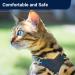 Buy Large Outdoor Bengal Cat Dishes & Leash Set - Outbreak-proof Non-Choking Adjustable Soft Vest for Large Cats - Buy Online on GoSupps.com