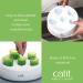 Catit Senses 2.0 Digger 1 Green White - Interactive Cat Toy for Natural Hunting Instincts - Buy Online on GoSupps.com
