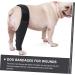 Housoutil Knee Pads Puppy Dog Nose Balm Dogs Knee Leg for Dog Protector Pet Four-Legged Clothing S As Shown - Buy Online on GoSupps.com