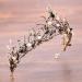 Voarge Crystal Tiara Crown for Bridal & Princess Vintage Wedding Diadem Perfect for Birthdays Proms Showers & Costumes - Buy Online on GoSupps.com