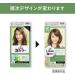 Liese Kao Bubble Hair Color Prettia - Airy Brown - Buy Online on GoSupps.com