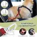 Slowton Dog Harness with Safety Belt for Car - Breathable Durable Red XXXS | Includes 2 Carabiner Hooks - Buy Online on GoSupps.com