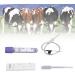 Bovine Cow Pregnancy Test Card Rapid Early Pregnant Pregnancy Test Kit Adopts Colloidal Gold Double Antibody Sandwich Method - Buy Online on GoSupps.com