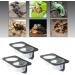 Serenable 3 PCS Reptile Amphibians Chameleon Lizard Feeding Ledge Bowls Double Dish with Suction Cup - Buy Online on GoSupps.com