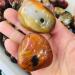 Gems for Decoration 100g Natural Crystal Silk Agate Play with The Rolling Palmetto 1pcs Aura Crystal - Buy Online on GoSupps.com