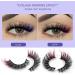False Eyelashes 10 Pairs 3D False Eyelashes & Eyelash Applicator Volume Fake Natural Eyelashes Wispy Cat Eye Lashes Fluffy Colored D Curl Russian Strip Lashes - Buy Online on GoSupps.com