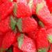 1KG Bag Giant Strawberry Gummy Sweets - Giant Strawbs - Giant Strawberries - Strawberry shaped sweets. Halal - Vegetarian